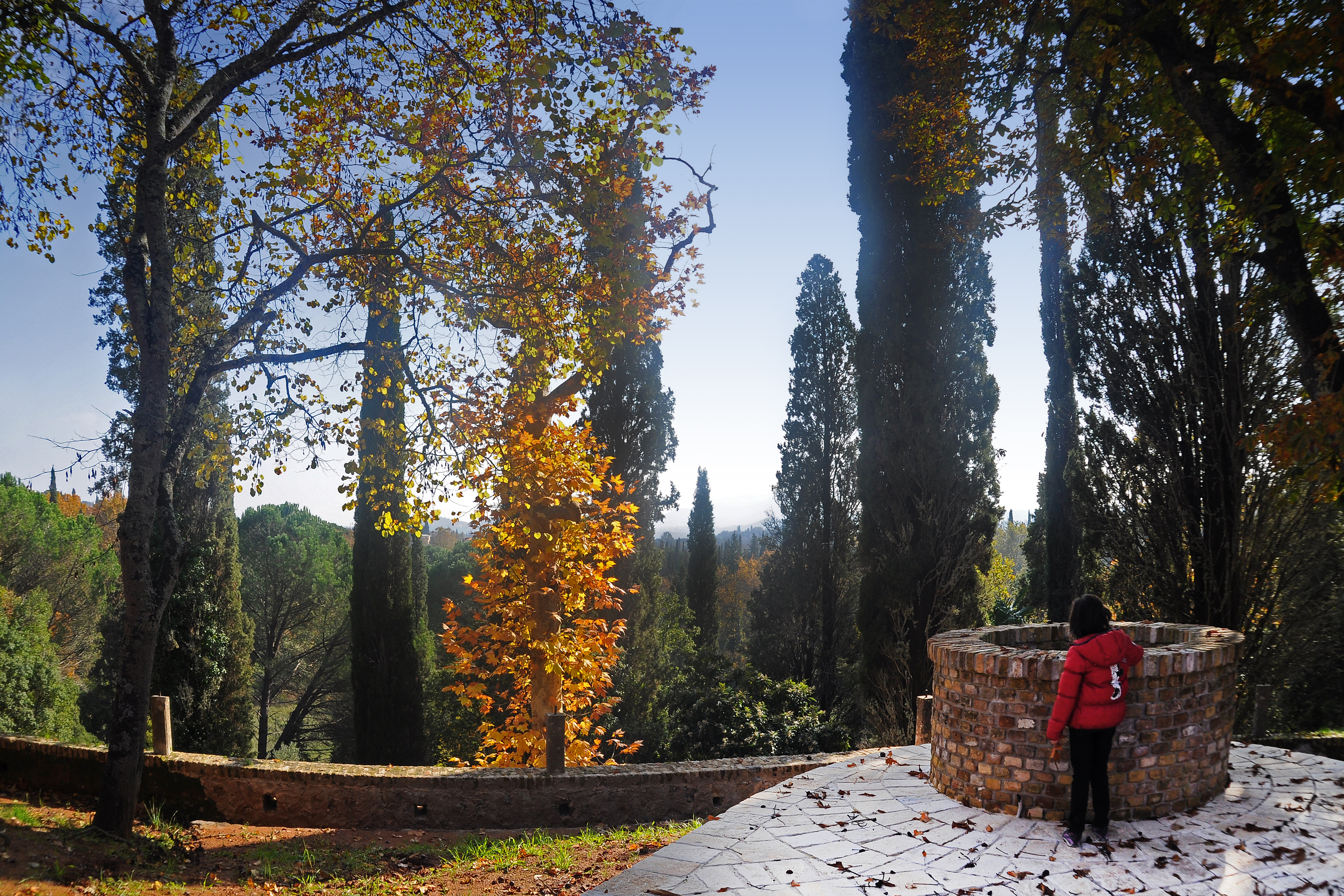 Afra Antico Rosso